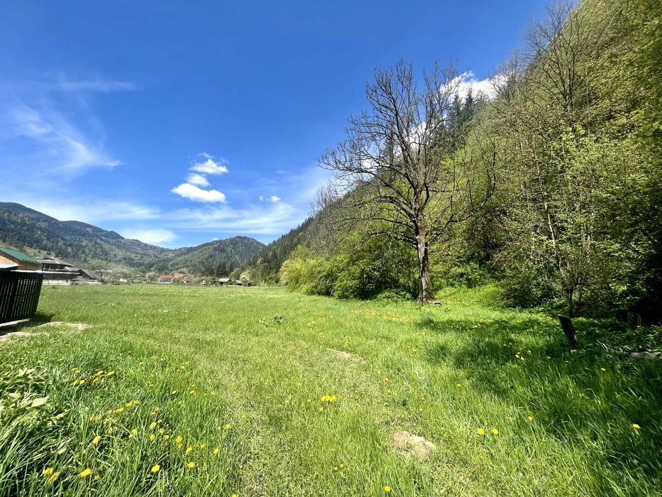 Здам подобово два дерев'яні будинки в Карпатах: Маєток  «LINDEN GROVE»