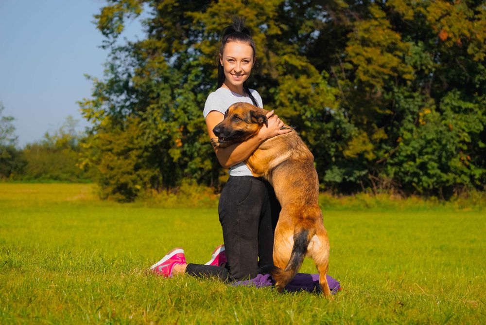 Andrea - śliczna sunia szuka domu