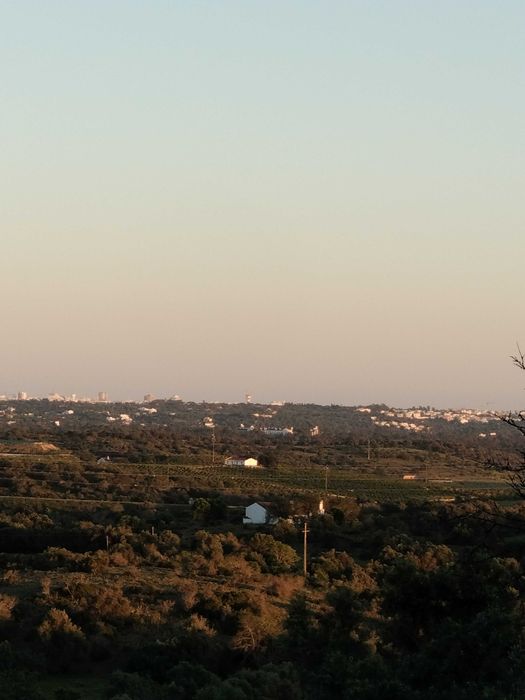 Quinta com Moradia no sitio do Poio - Mexilhoeira Grande