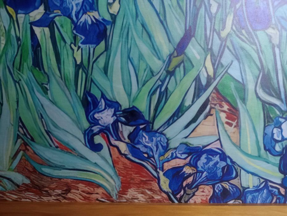 Obraz na płótnie - Irysy, Vincent van Gogh, 50x70cm