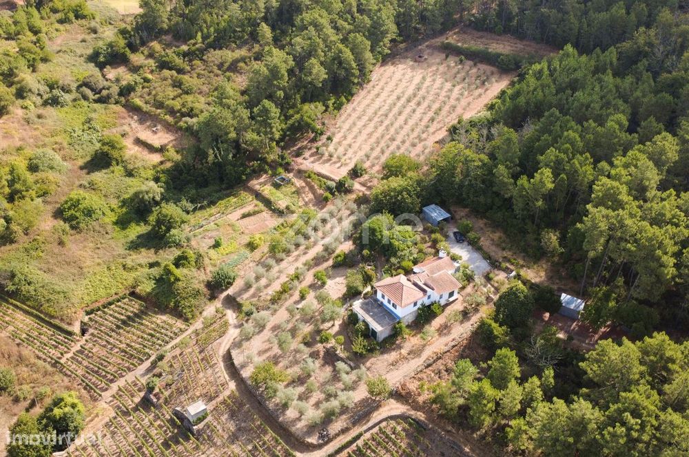 Quinta T3 em Região Demarcada do Douro - Fontelo, Abaças, Vila Real