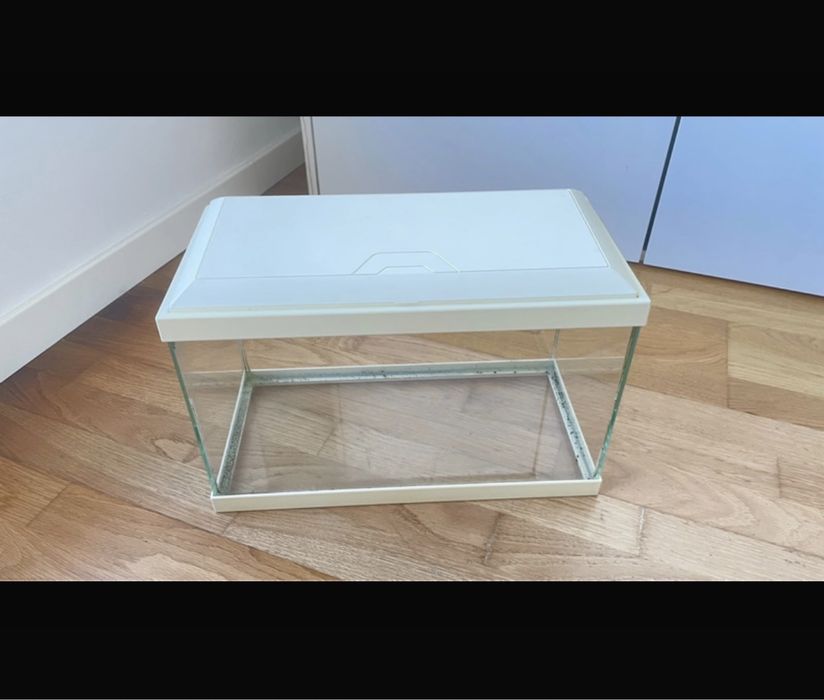 Aquário de peixes branco