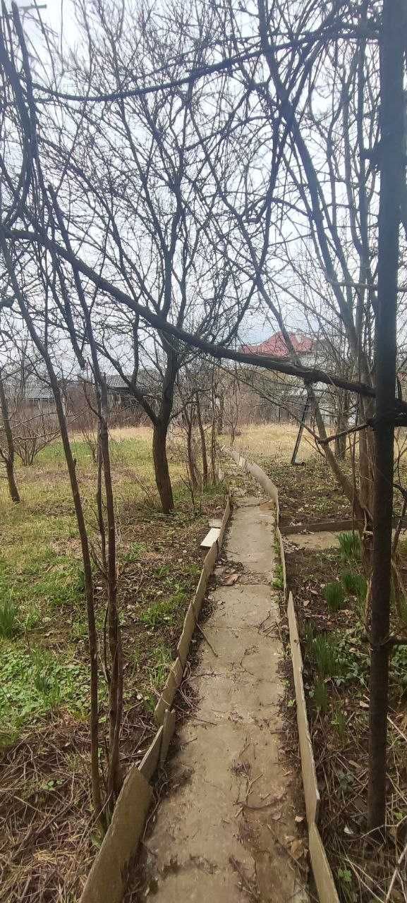 Продам землю з дачею в околицях міста в тихому місці