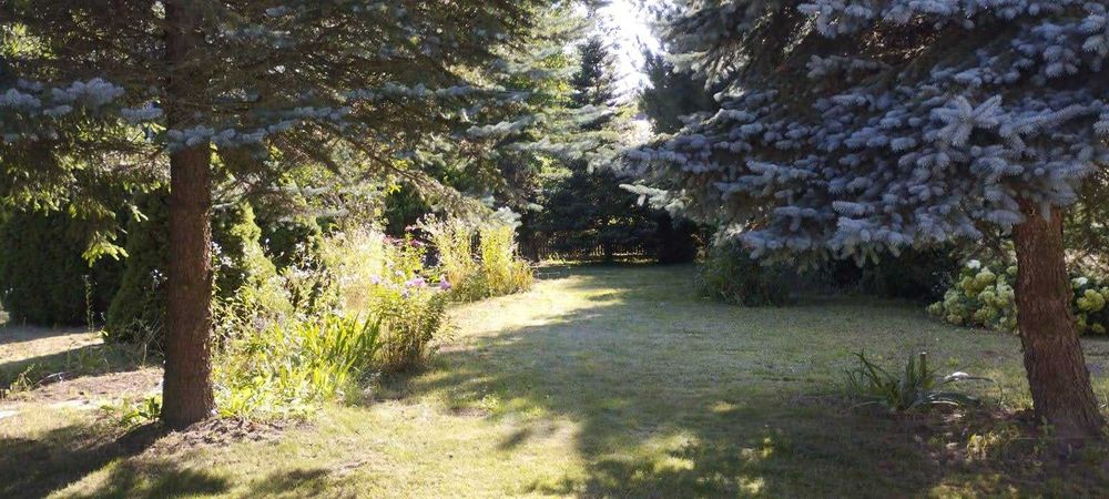 Działka Budowlana 2500 m2 uzbrojona BEZPOŚREDNIO | Piotrków Pierwszy