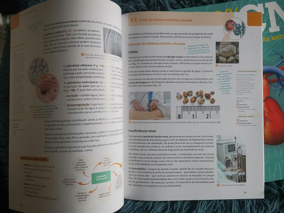 Manual novo Ciências naturais - 100% CN 9° ano