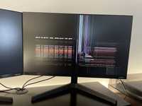 Monitor Samsung 24” - uszkodzona matryca