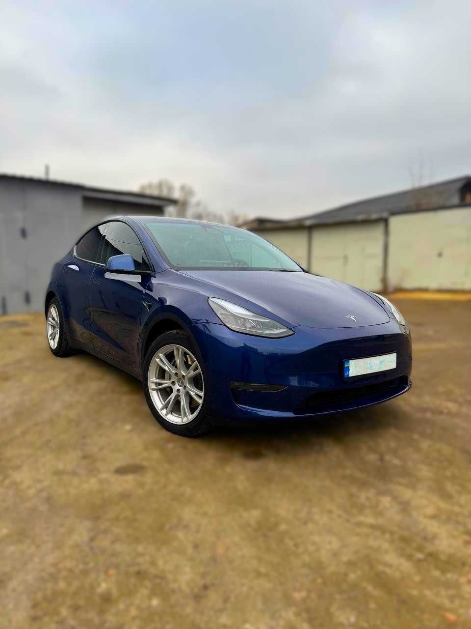 Оренда/Прокат Tesla Model Y 2021 рік ( 5-7 місна ). Київ/Київська обл.