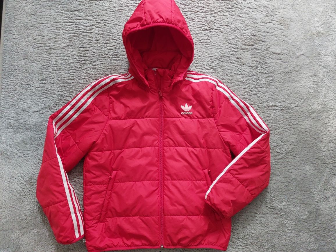 Kurtka Adidas,  Kurtka zimowa