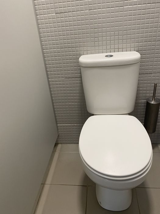 Sanita com autoclismo (bide incluido )