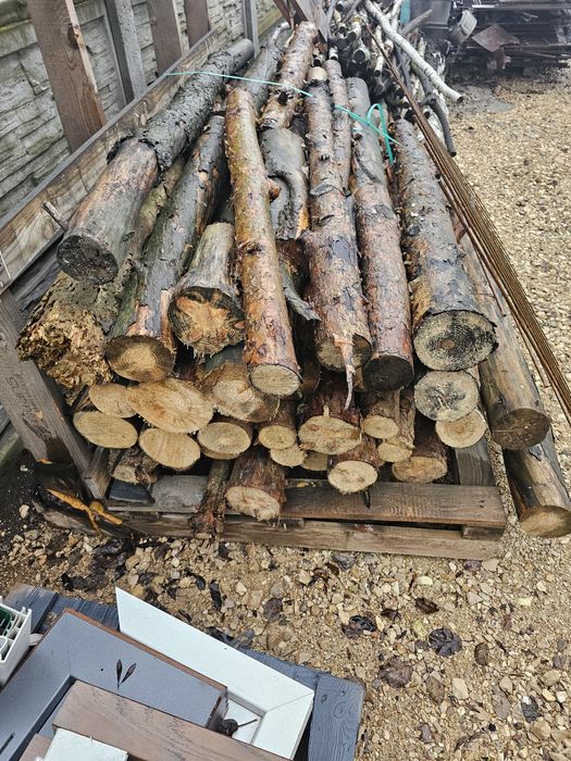 Drewno opałowe  drzewo na opał