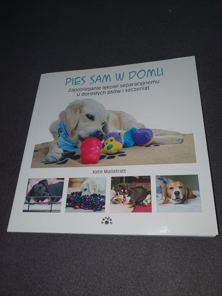 Książka Pies sam w domu