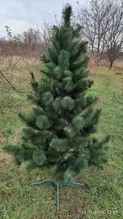 Сосна искусственная / Елка новогодняя