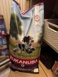 Eukanuba Medium breed puppy 15 kg + gratis