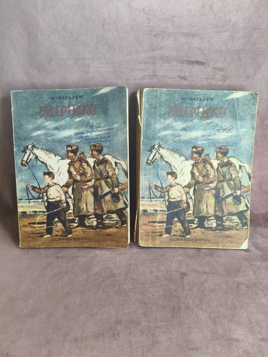 Książka dla dzieci Syn pułku ⁵⁷