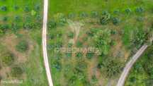 Terreno Rústico de 5 Hectares à Venda ,Alandroal