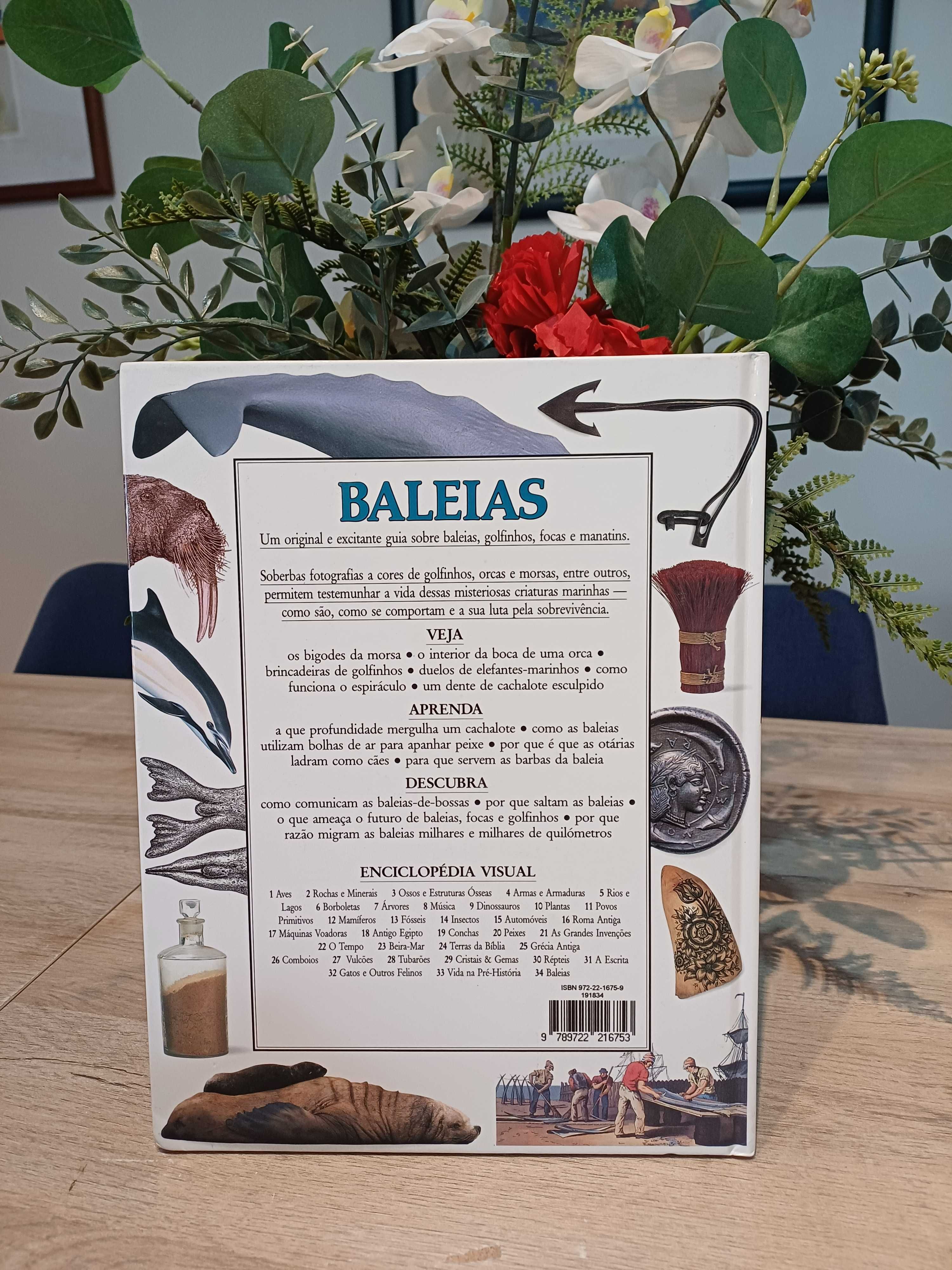 Enciclopédia Visual - Baleias