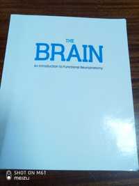 Учебник для студентов по нейроанатомии на английском языке.