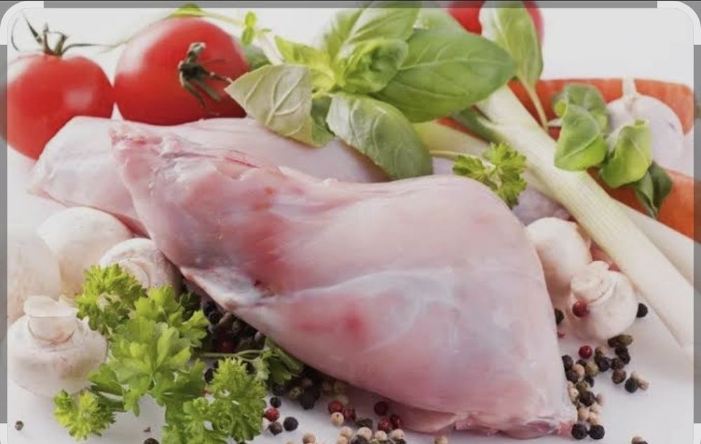 Кролик мясо продам