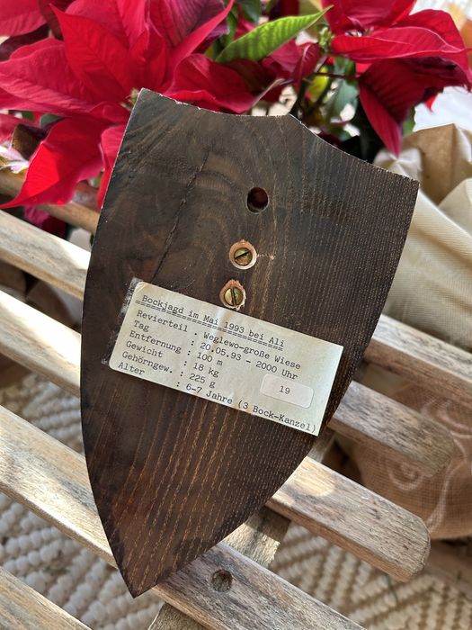 Trofeum myśliwskie/łowieckie jeleń/kozioł z opisem