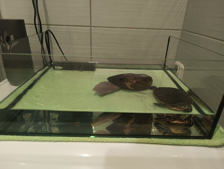 Sprzedam z wyposażeniem