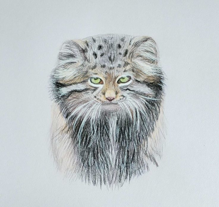 Намалюю вашого улюбленця