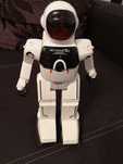 Sterowany Robot stan idealny