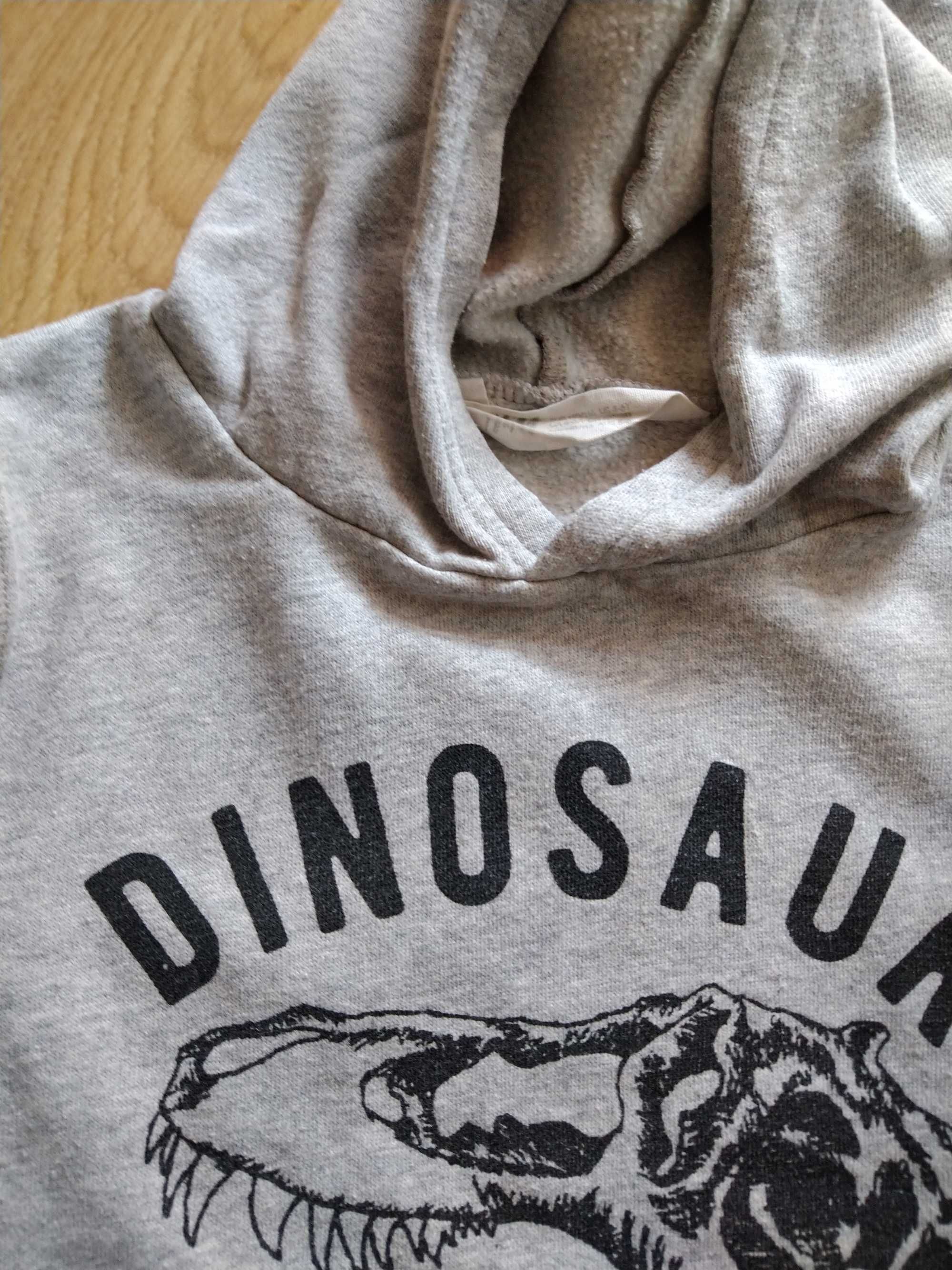 szara bluza z dinozaurem, z kapturem, h&m, rozmiar 110-116