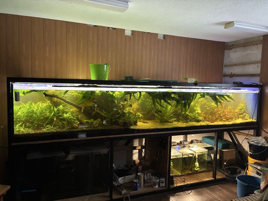 Akwarium 1600l 350x80x60h