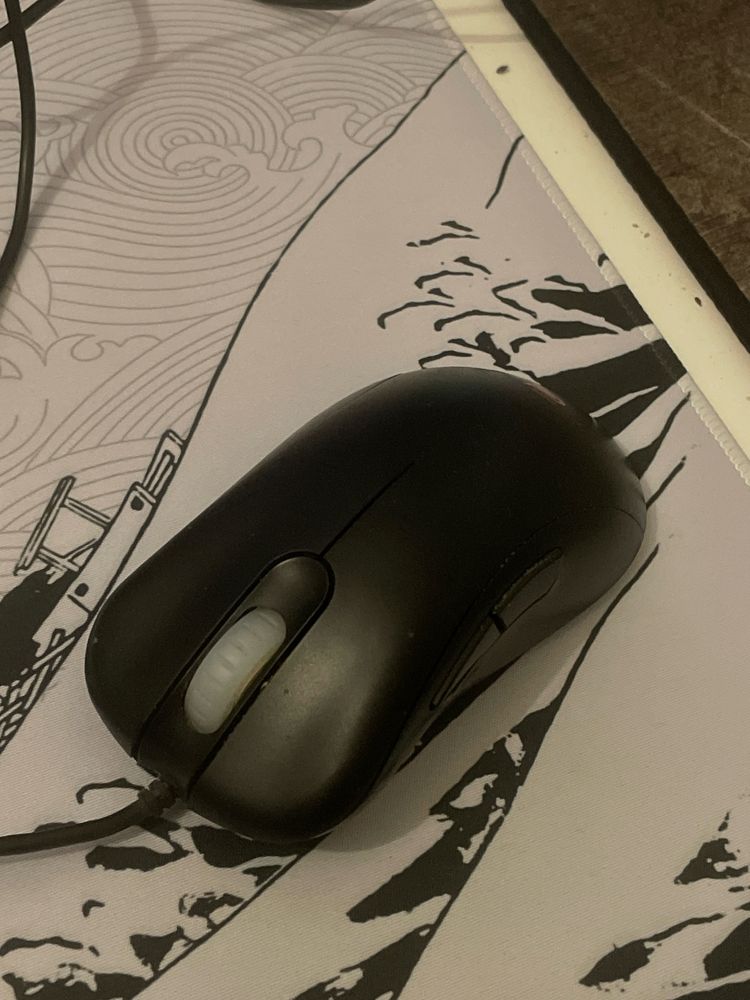 Zowie EC2-A – Myszka dla graczy e-sportowych (używana, sprawna)