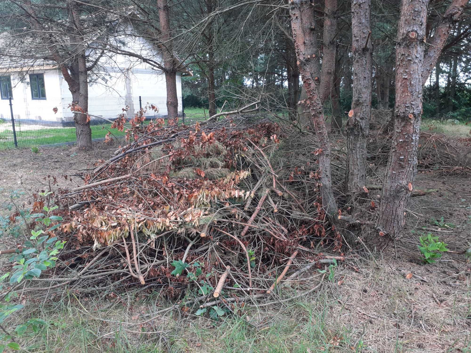 Gałezie na opał za DARMO