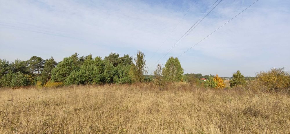 Działka Chraboły, gmina Dobrzyniewo Duże