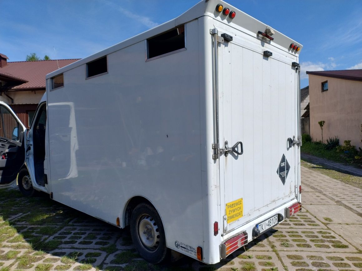 Opel Movano do Żywca bydła zwierząt trzody