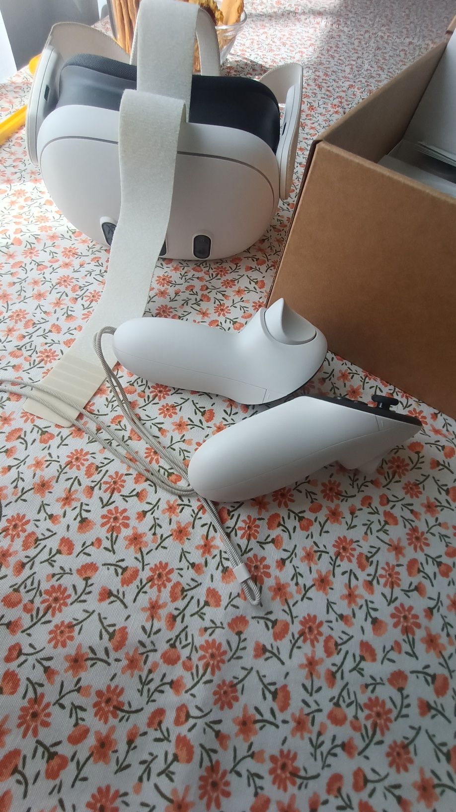 Meta Quest 3 Google VR