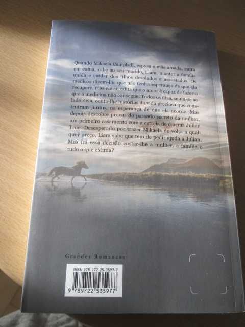 Em nome do amor de Kristin Hannah (Oferta portes)