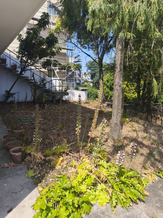 Moradia única no Porto ( obra do arquiteto Viana de Lima