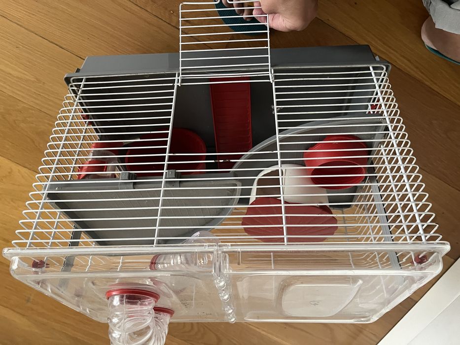 Gaiola para hamster com acessórios de oferta!
