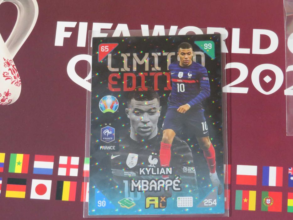 Album Qatar 2022 + 25 random qatar stickers + Card Mbappé