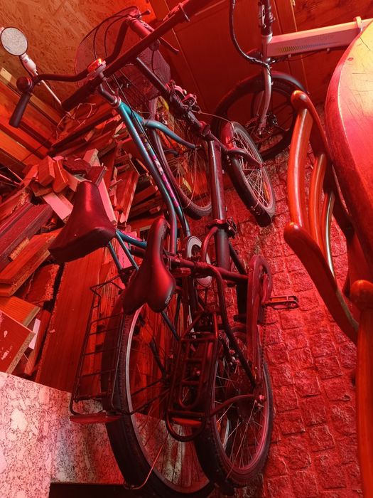 Bicicleta elétrica
