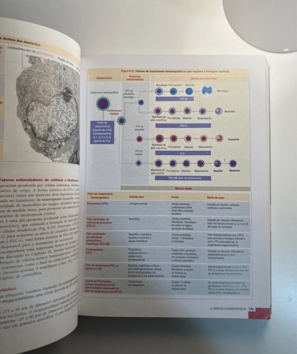 Histologia e Biologia Celular - Kierszenbaum, 2ªedição