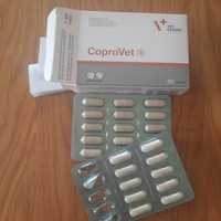 Tabletki CoproVet dla psów i kotów 25szt.usuwa przycz.zjadania odchod.