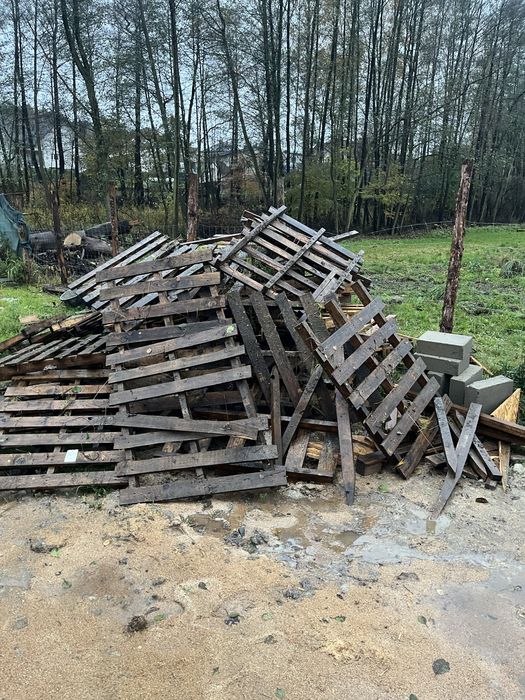 Palety po pustakach - drzewo