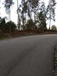 Ótimo terreno com 60 metros de frente á estrada