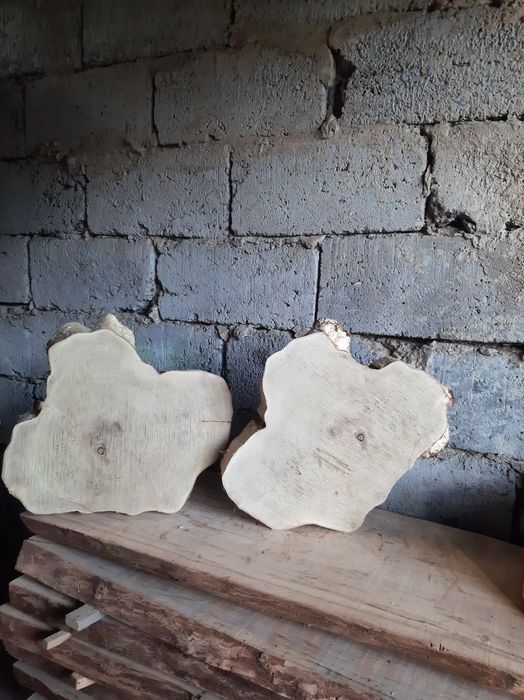 Plastry dębu,podstawki brzozowe i akacjowe