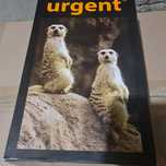 Nowa buty Urgent