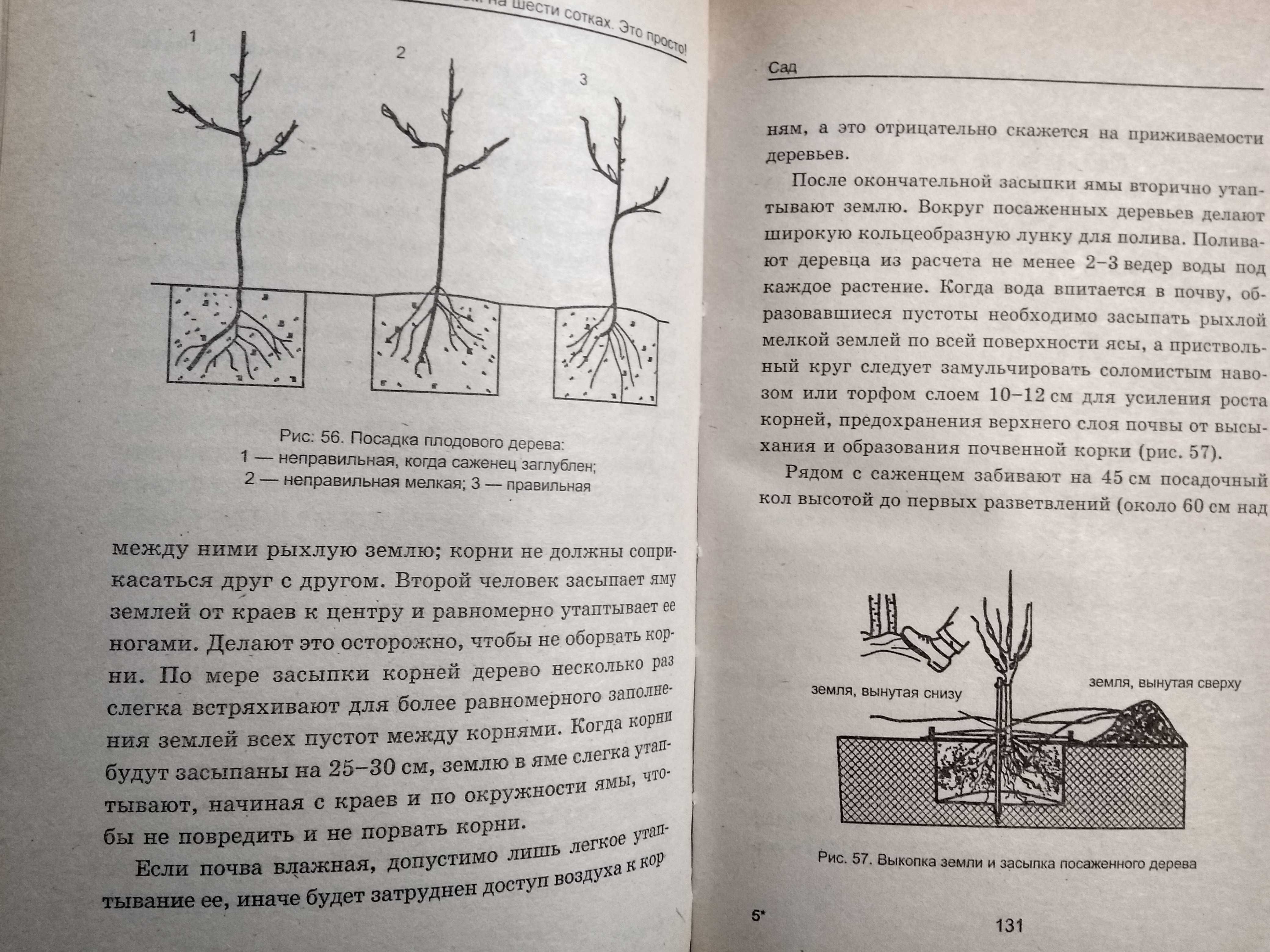 Маркин А.В. Зарабатываем на шести сотках. Это просто!