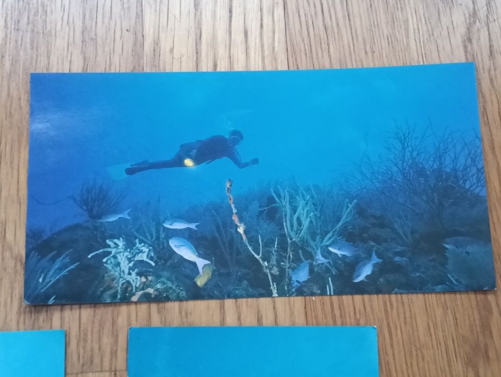 Bela coleção, imagens Sub- aquáticas+ 1 diverso