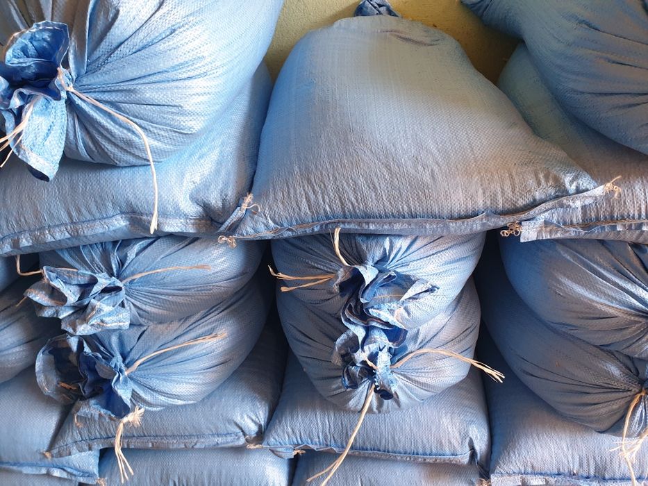 Słonecznik w łupie - np dla ptaków