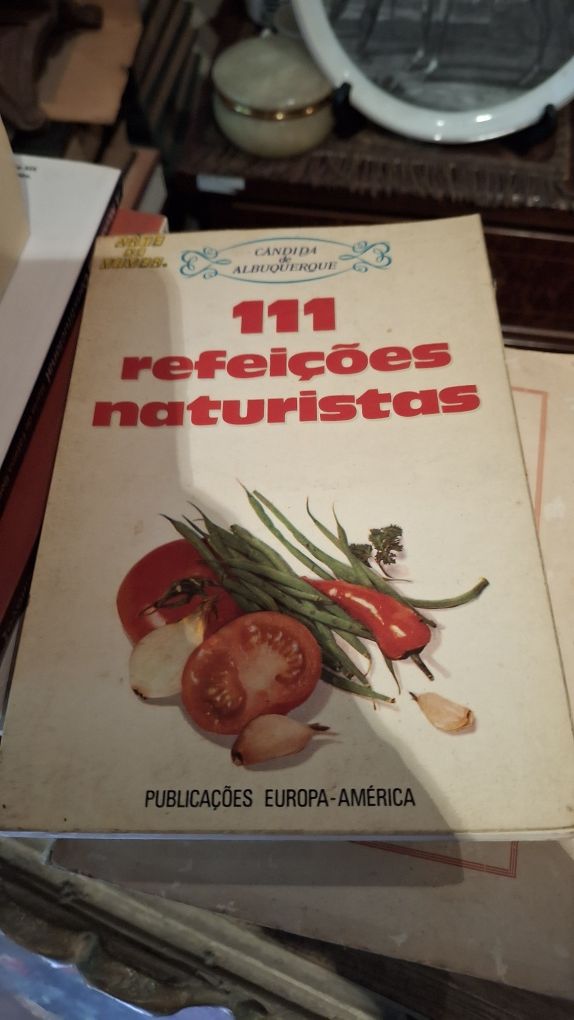 111 refeições naturistas Candida Albuquerque receitas