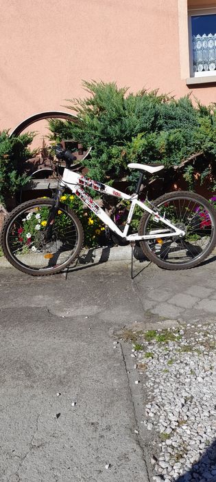 Rower Zenit 26".