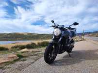 Hornet 600F Mate